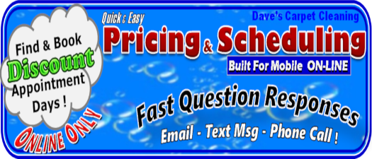 schedule carpet cleaning appointment now badge