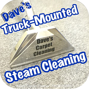 Carpet Cleaning Services